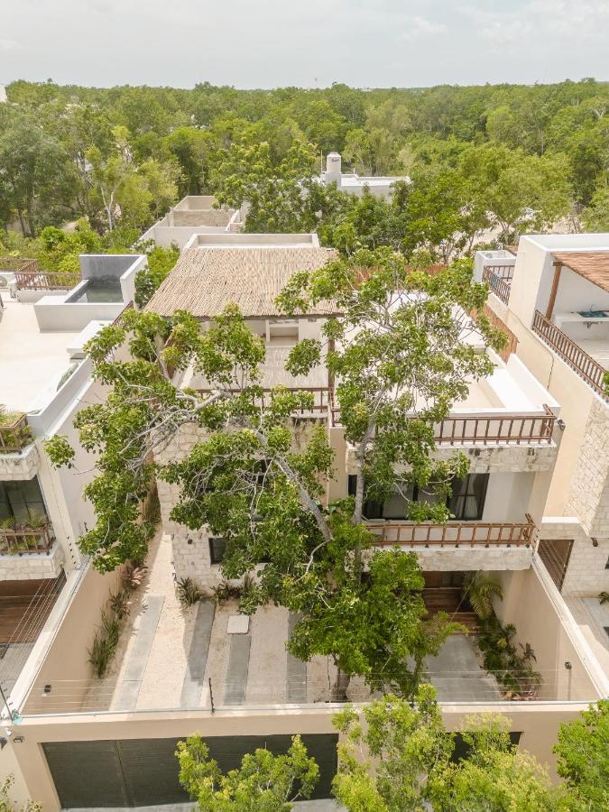 New Aura Jungle Getaway Villa Tulum Exterior photo